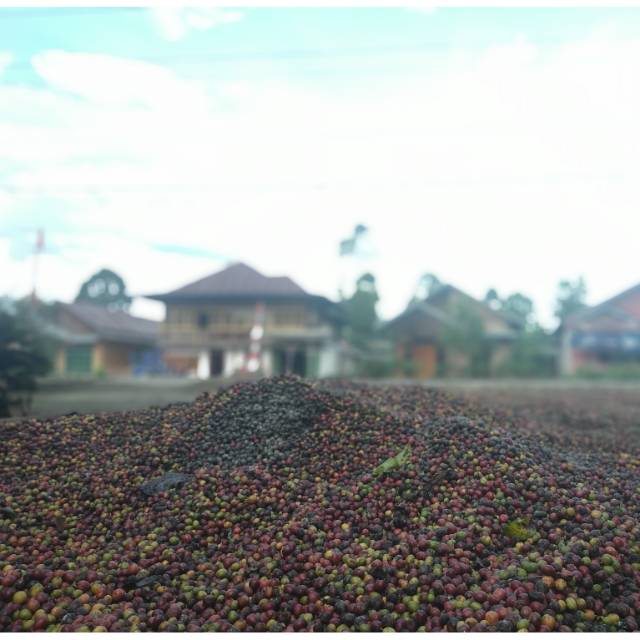 

Kopi Robusta Lampung Barat / Kopi Bubuk