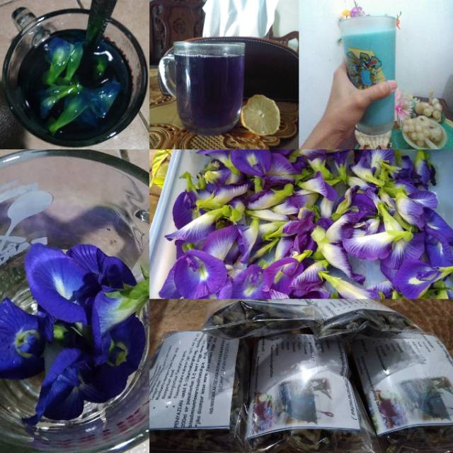 

Teh Biru bunga telang (Clitoria ternatea ) 15gr (organik)