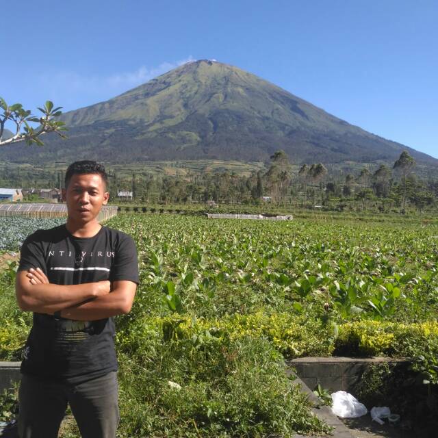 irawan_d_aji
