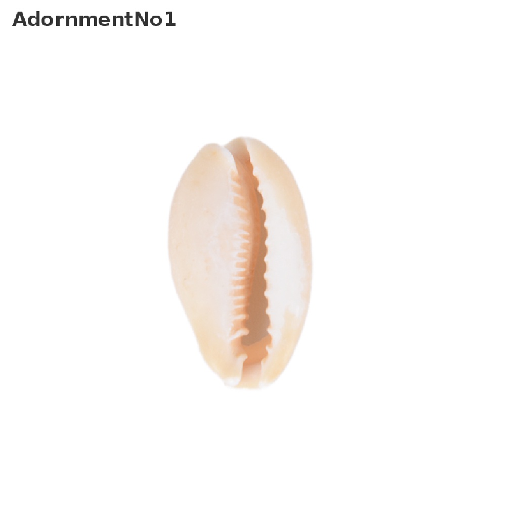 (AdornmentNo1) 50pcs Liontin Kerang Cowrie Alami Untuk Membuat Perhiasan DIY