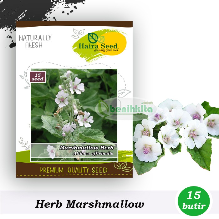 Benih-Bibit Herbal Marshmallow (Haira Seed)