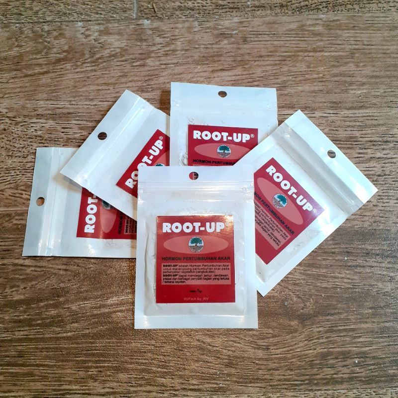 root-up hormon pertumbuhan akar