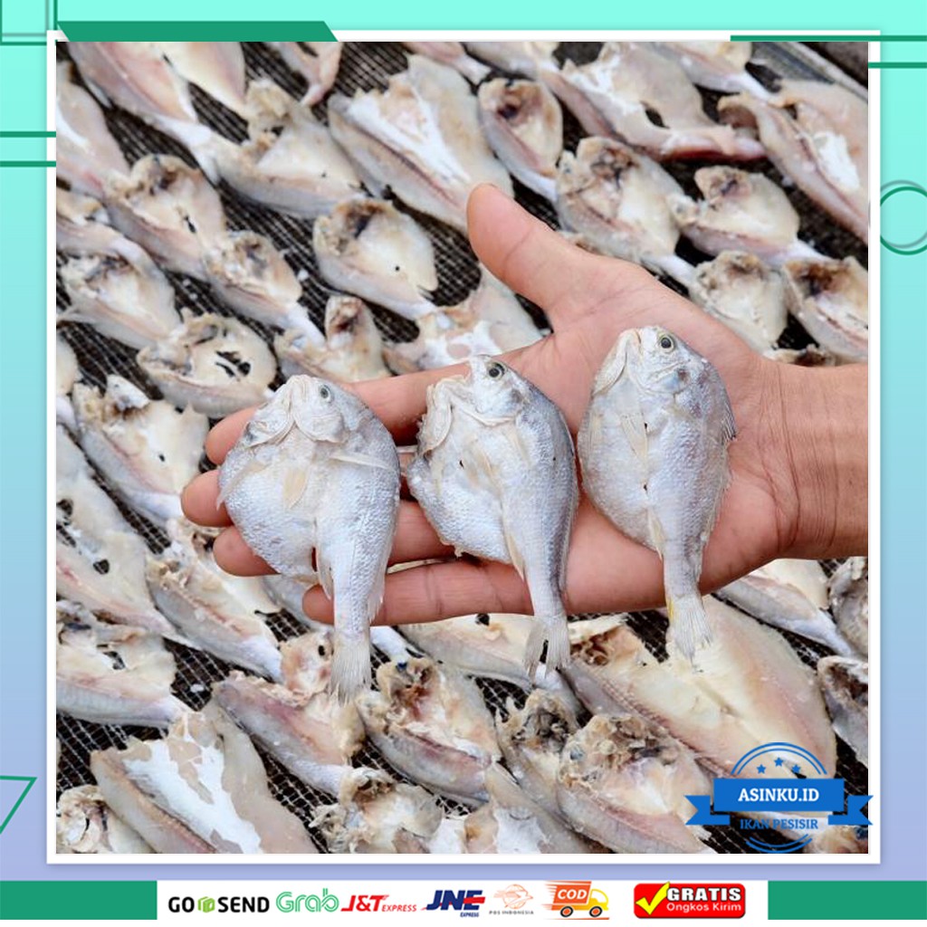 

IKAN ASIN BB BELAH 1KG KHAS MEDAN | IKAN ASIN GELAMA | TIDAK TERLALU ASIN