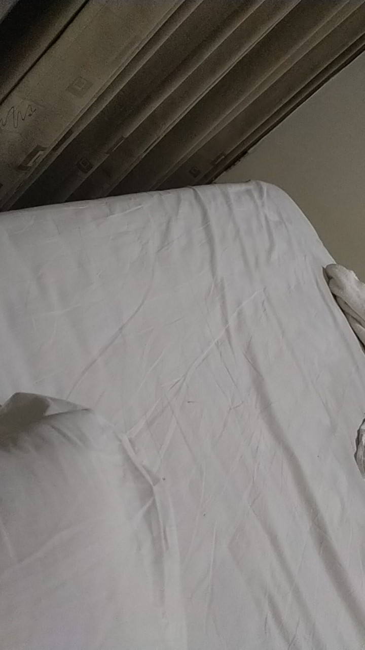 Couple Camelia Amelia Artomoro Grosir