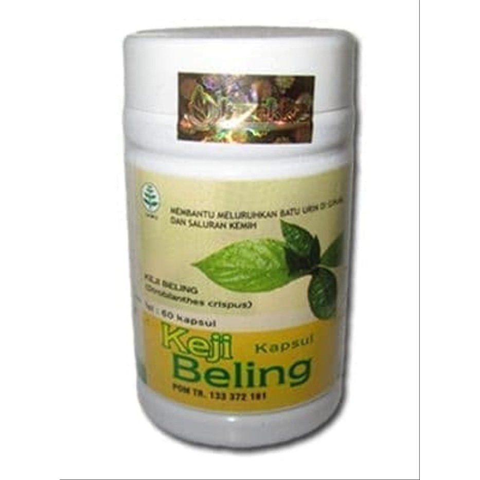 

Kapsul Ekstrak Daun Keji Beling