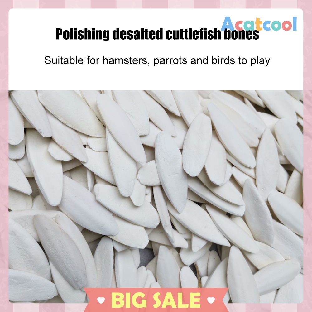 Cuttlefish Bones Hanging Bell Calcium Supplements Pet Parrot Molars Toys