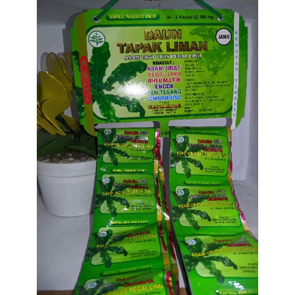 Jual Daun Tapak Liman Kapsul Original Isi Sachet Shopee Indonesia