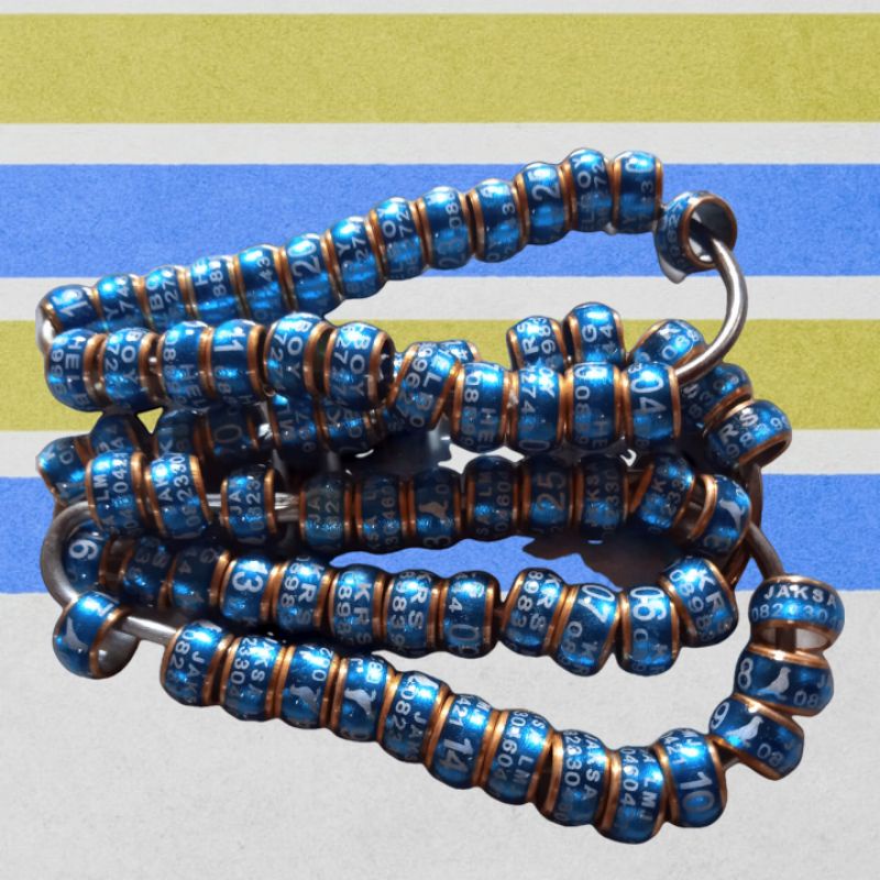 ring burung murai model donat MK