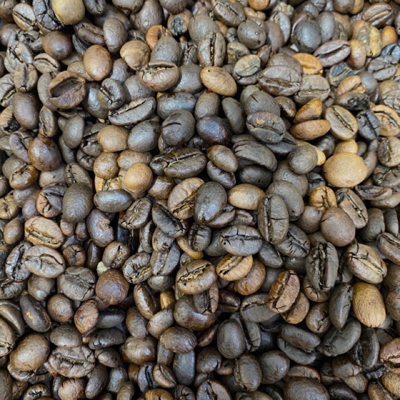 

biji kopi robusta 1 kg grade 1 kualitas import