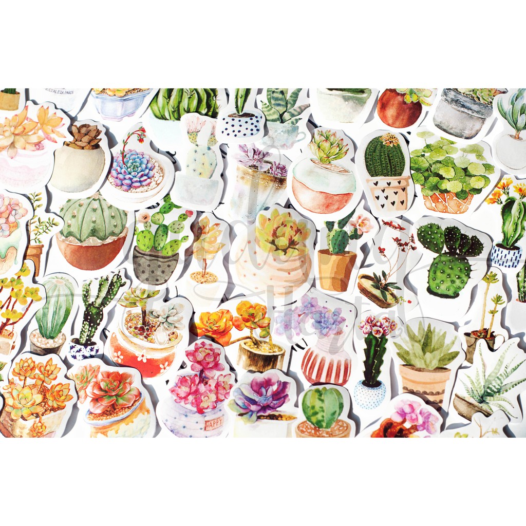 Stiker Succulent Plant Sticker Tanaman Sukulen DIY Scrapbook GH 303726