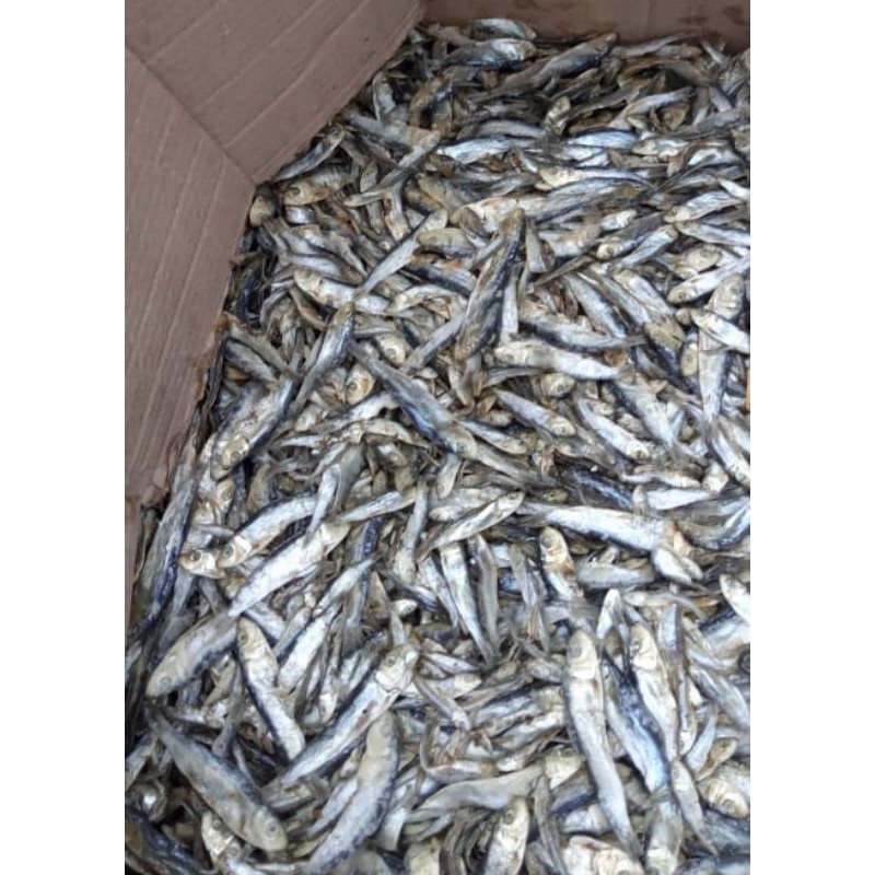 

ikan asin teri lemet kering : 500 gram harga termurah