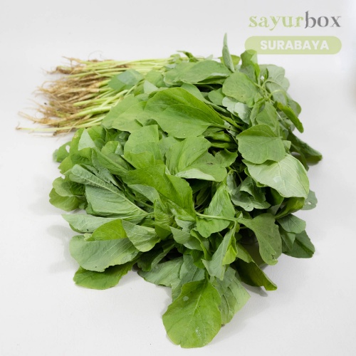 

Bayam Hijau Konvensional 500 gram (Sayurbox) - SURABAYA