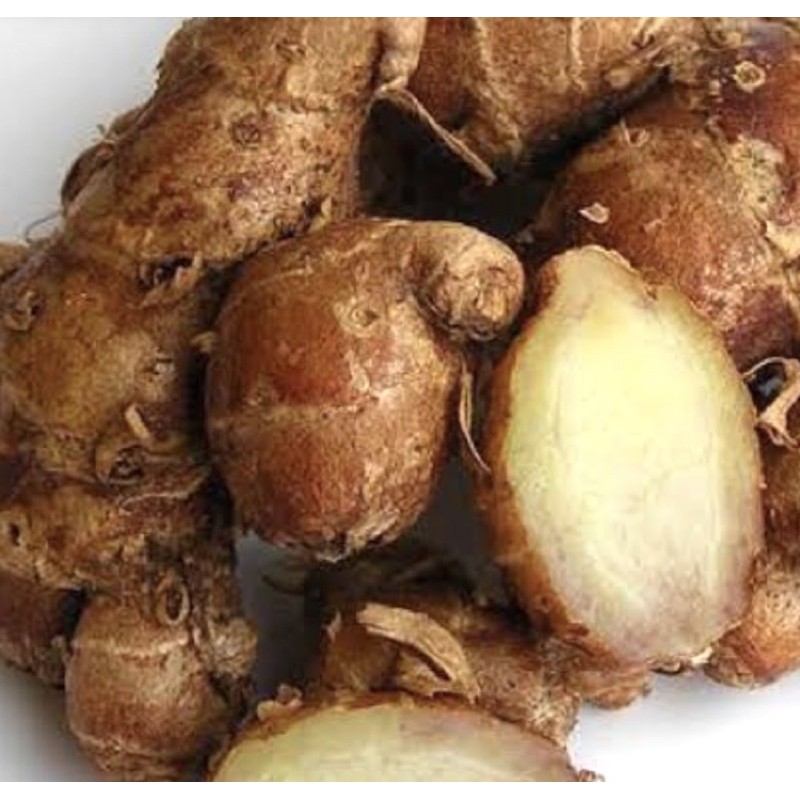 

kencur super pilihan nass bumbu rempah