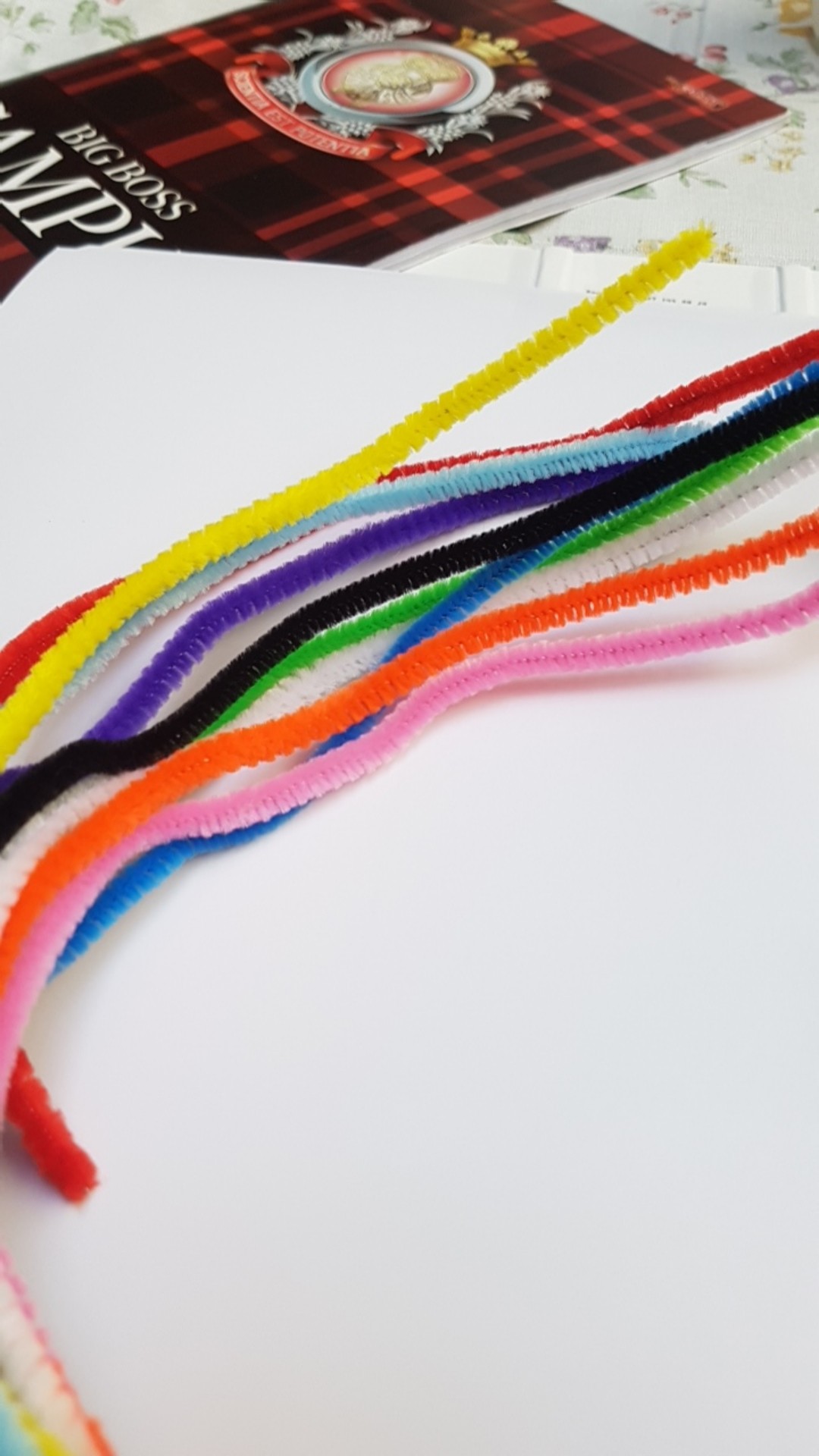 Pipe Cleaner Kawat Bulu Mercy