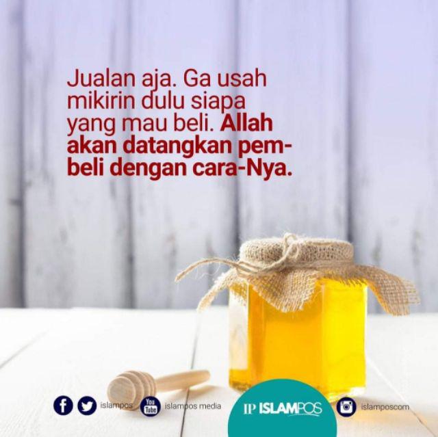 COD CELANA  CARGO PANJANG THRASHER CELANA  CARGO PANJANG 