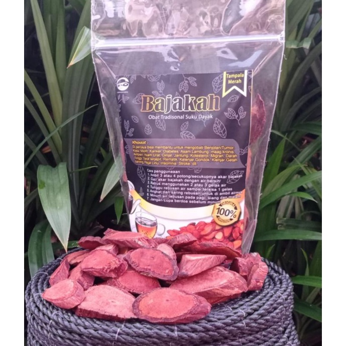 

Bajakah Tampala Merah free Kode TM