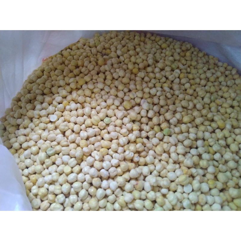 

KACANG ARAB 1Kg MATANG PANGGANG ROASTED AL MADINA MURAH GROSIR MEDAN CHICKPEAS REHAB SAADAT ORIGINAL ASLI