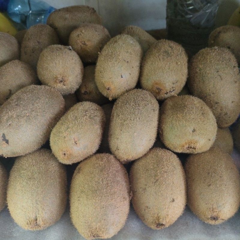 

kiwi greend kiwi hijau