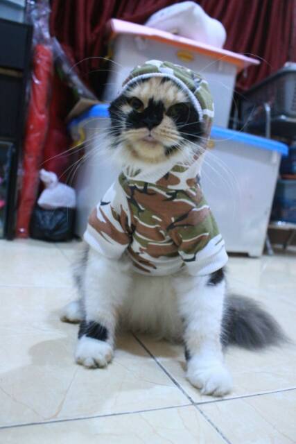 Kaos hoodie jumper army ala korea untuk kucing dan anjing size S M L XL