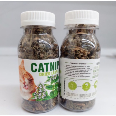 CATNIP BOTOL - Daun Akar CATNIP Makanan Mainan Kucing Catmint Bikin Kucing Fly Obat Stress Kucing