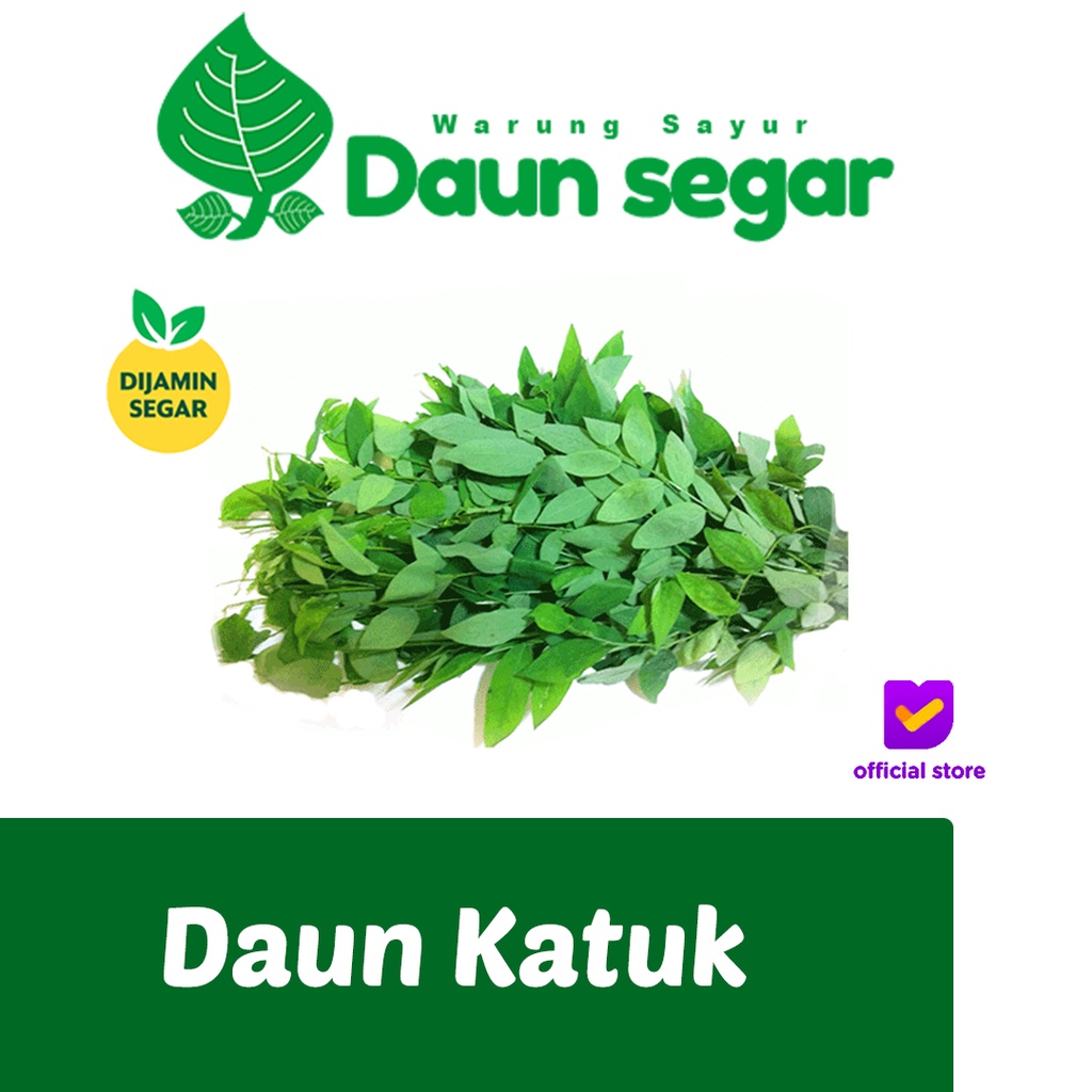 

Daun Katuk Per-Ikat Besar Fresh