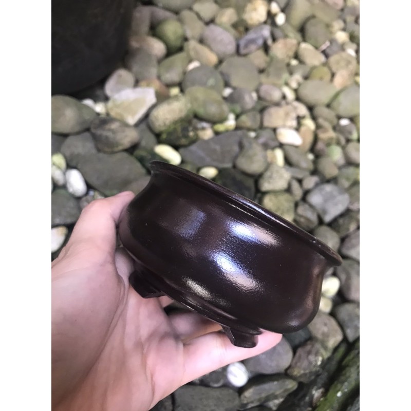 Pot Bonsai Mame Gentong Bulat Shopee Indonesia Pot Bonsai Mame Gentong Bulat Shopee Indonesia