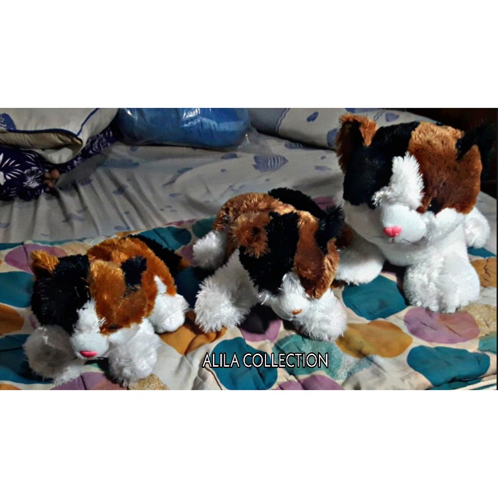 Boneka Kucing Lucu Ukuran S, M dan Loneka Kucing Lucu Ukuran S, M dan L