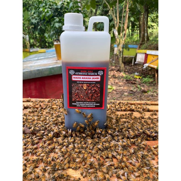 

MADU AKASIA CARVA KEMBANG HARUM 100% MURNI