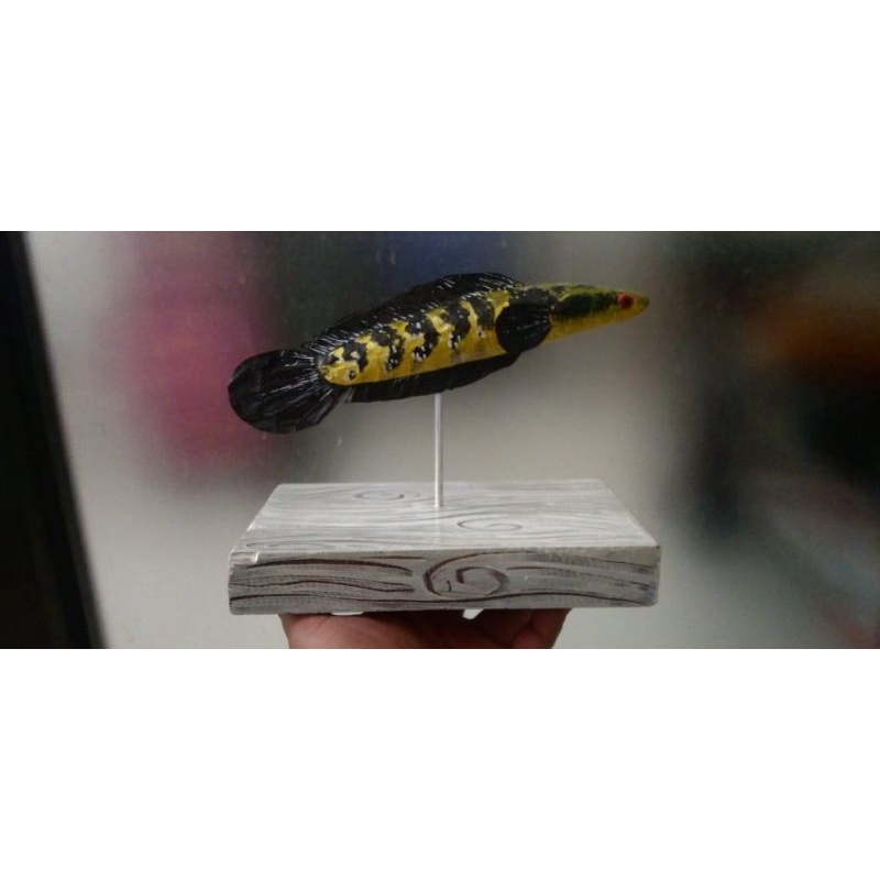 Patung Ikan Chana Maru Yellow Sentarum.