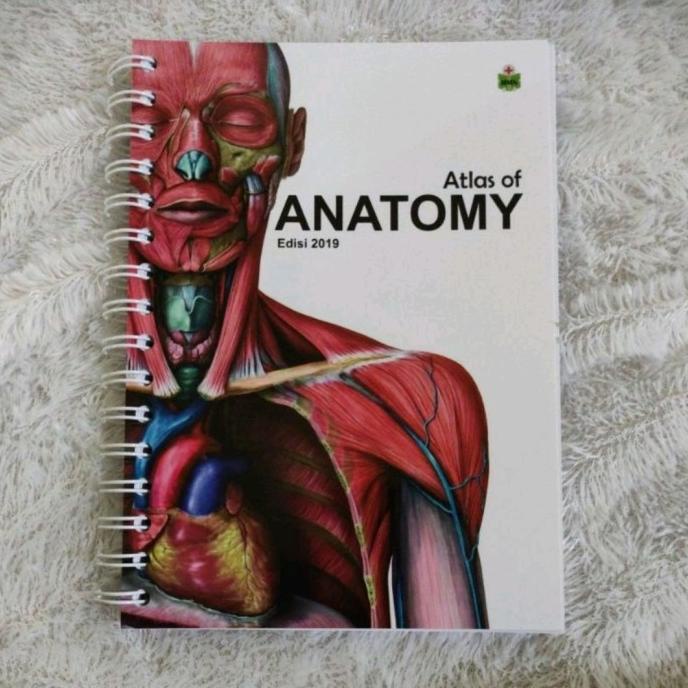 

Atlas of Anatomy MMN buku saku dokter anatomi tubuh manusia