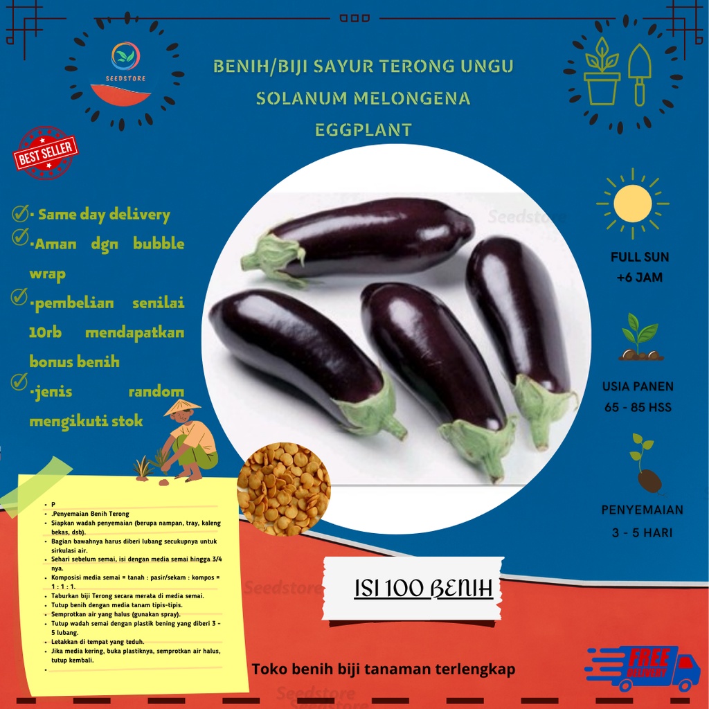 

100 Biji terong ungu jawa