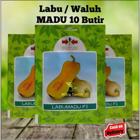 CAP PANAH MERAH BENIH BIBIT WALUH LABU MADU 10 BUTIR SP