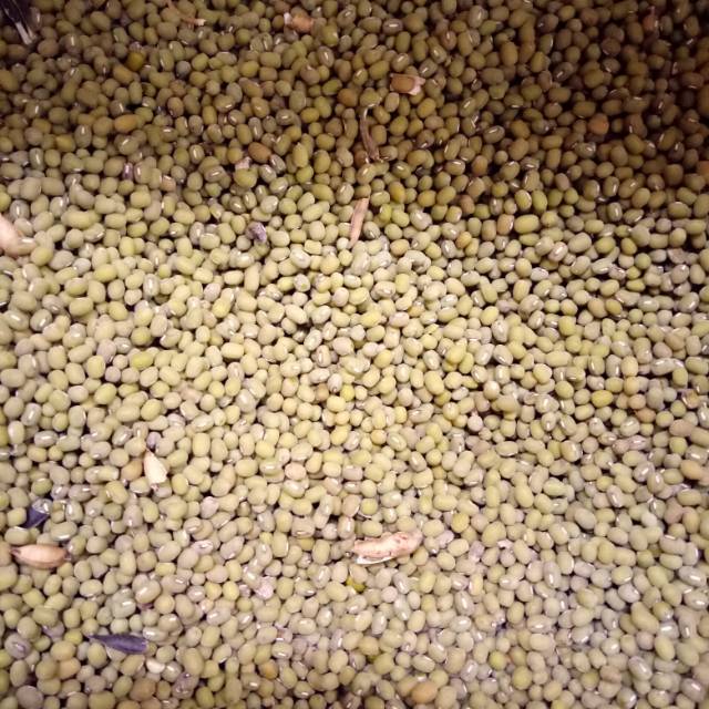 

Kacang ijo kupang 500 gr