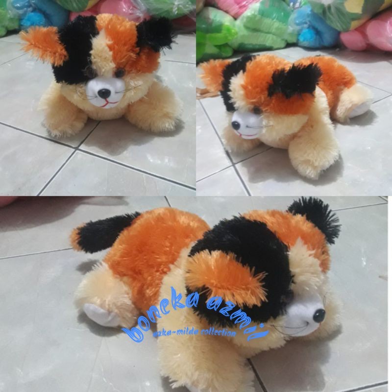 Boneka kucing lucu Persia size l