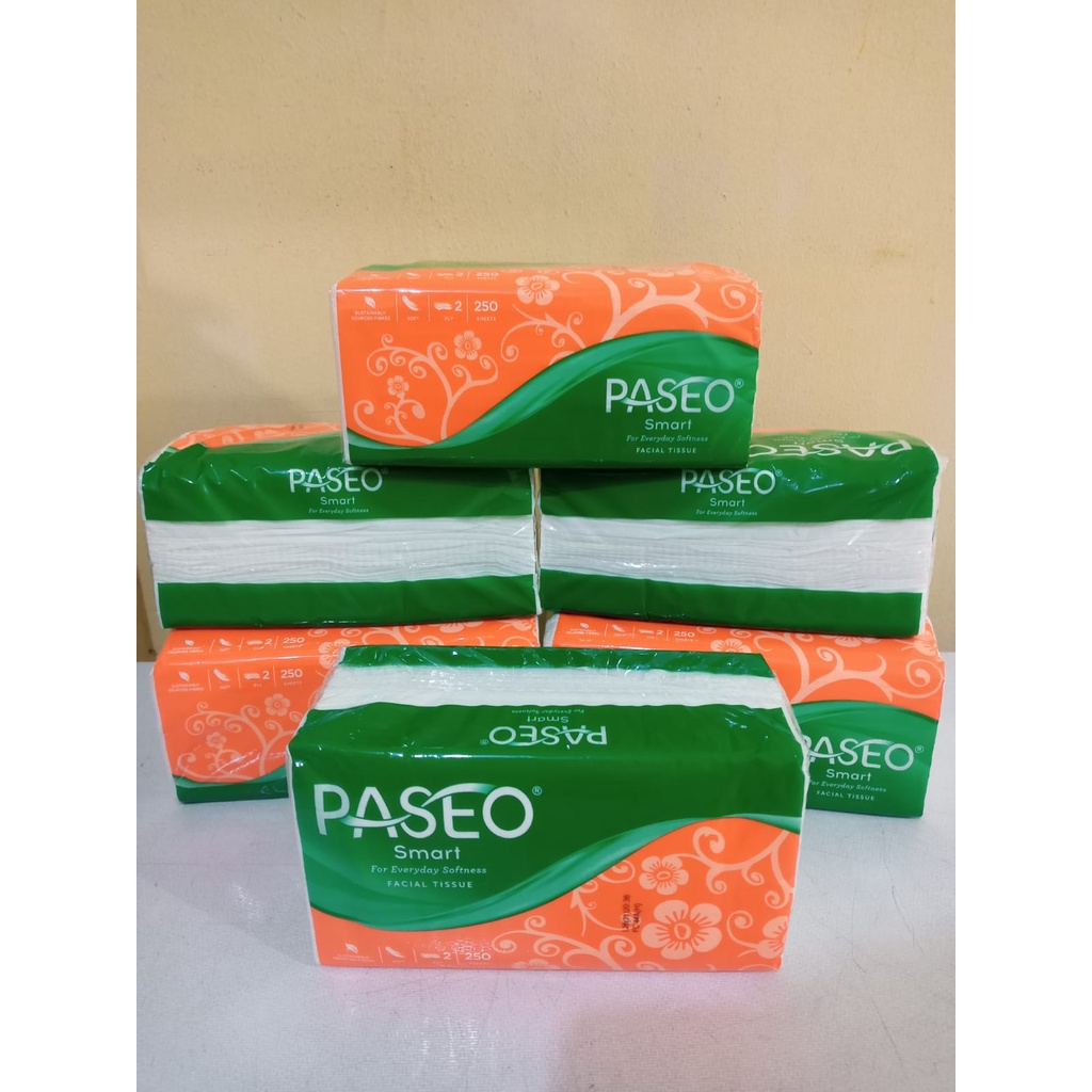 250 SHEET TISSUE PASEO / TISU PASEO