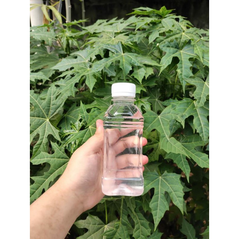 

clear glue by army store
