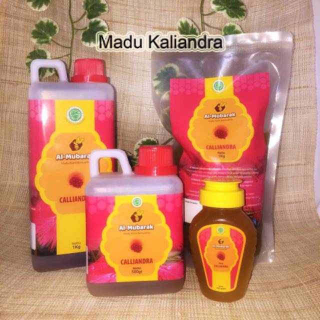 

Madu asli madu kaliandra