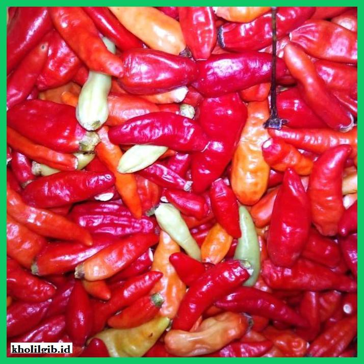 

Aneka-Sambal- Cabe Rawit Merah Petik Tangkai -Pedeeeeeezzzzzzz.