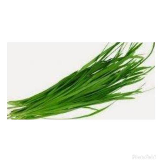 

Daun kucai