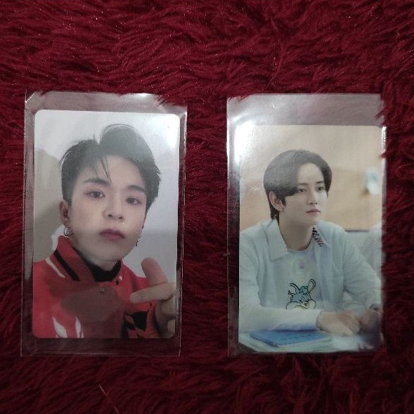 photocard pc official asahi mashiho treasure applewood apw