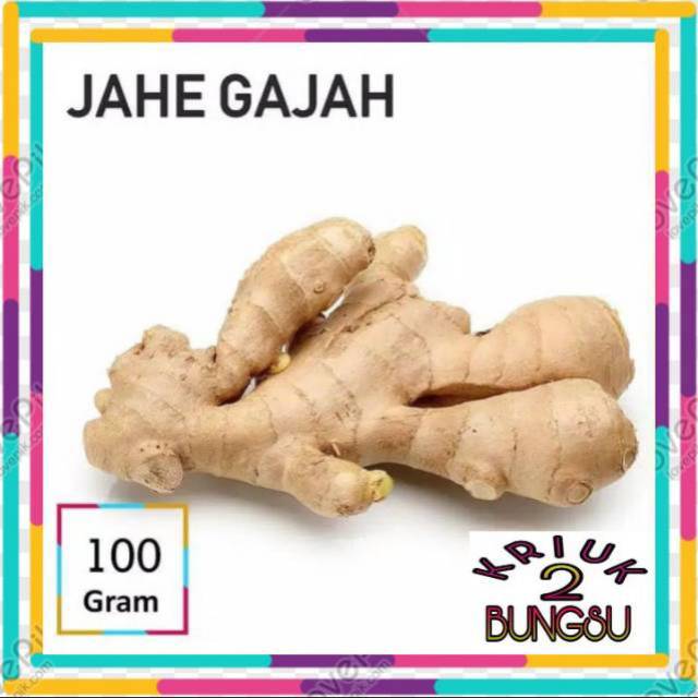 

Jahe Gajah / Jahe / Sayur