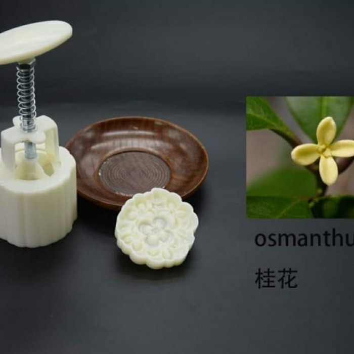 Cetakan Kue Bulan Nastar Taiwan Mould Mold/Kue Satu Moon cake Plunger 3D 50gr