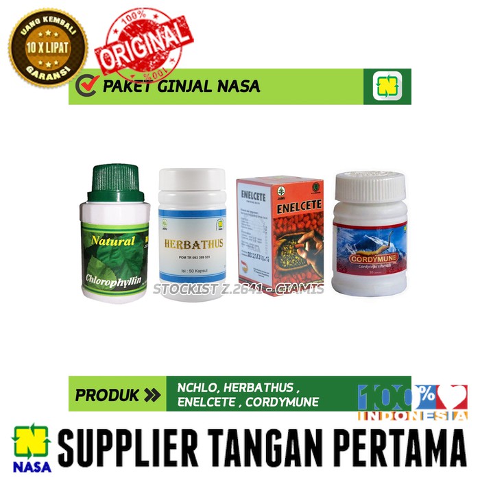 PAKET OBAT BATU GINJAL NASA