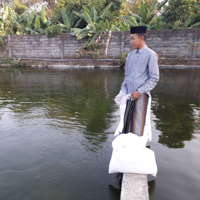 ariys.dilaram