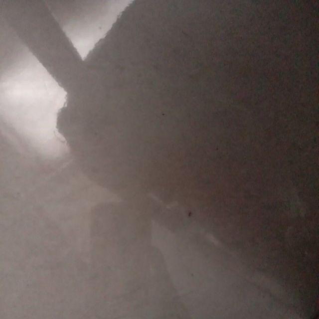 Ready...set Susan Bunga _rd