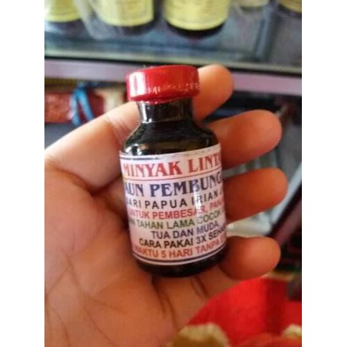 minyak lintah daun pembungkus dari papua