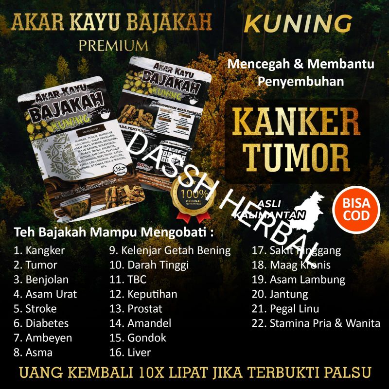 

akar bajakah asli kalimantan