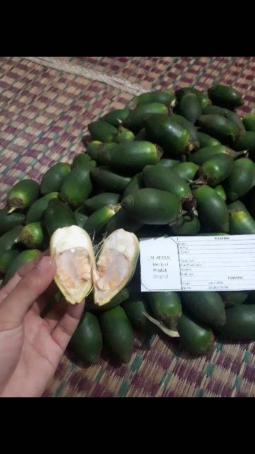 Buah pinang muda 1 kg gratis daun sirih 50 grm