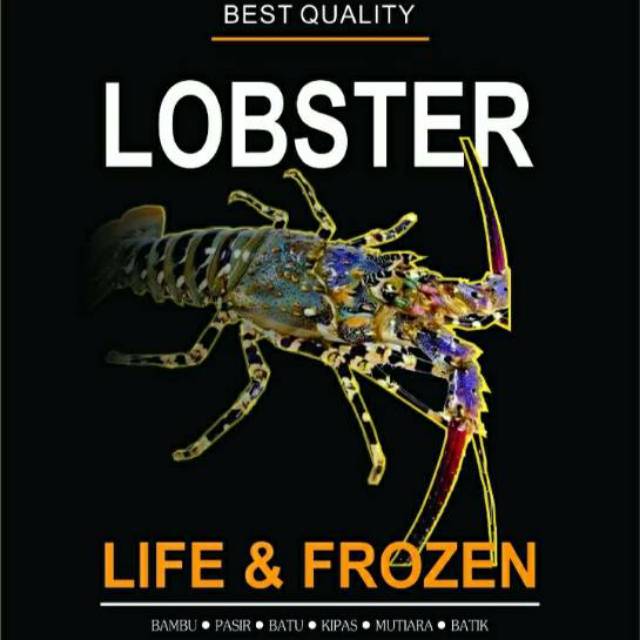

Lobster Frozen 300/500 gr
