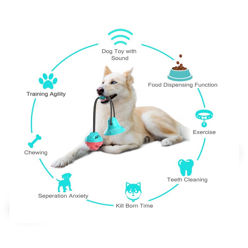 Interactive Molar bite Tug of War Single